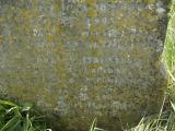 image of grave number 950721